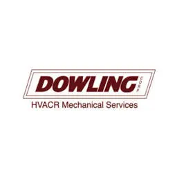 Dowlingcorp.com Favicon