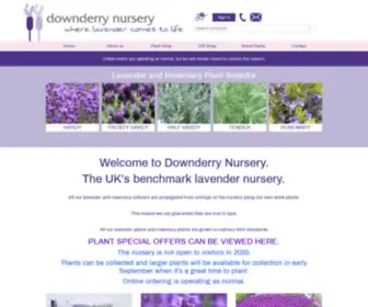 Downderry-Nursery.co.uk(Lavender plants for sale) Screenshot