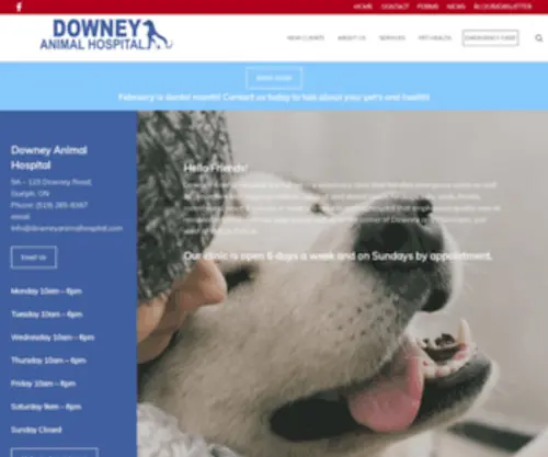 Downeyanimalhospital.com(Veterinary) Screenshot