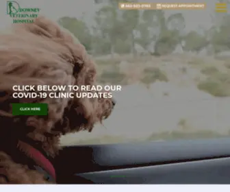 Downeyvet.net(Animal Hospital in Downey) Screenshot