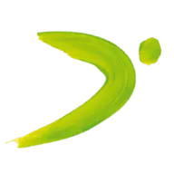 Downmadrid.org Logo
