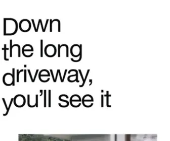 Downthelongdriveway.com(A nice book by Mary Gaudin) Screenshot