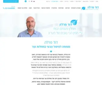 Dperla.co.il(דוד פרלה) Screenshot