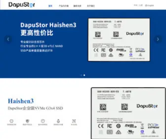 Dputech.com(领先的企业级芯片及SSD存储方案提供商) Screenshot