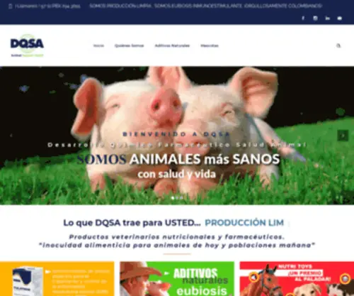Dqsa.com.co(Productos) Screenshot