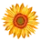 DR-Soln.ru Favicon