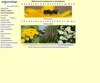 Drachtplanten.nl(Bijenplanten & drachtplanten) Screenshot