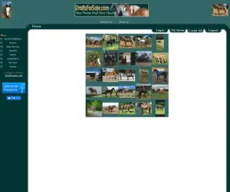 Draftsforsale.com(Draft Horses For Sale) Screenshot