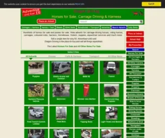 Dragondriving.co.uk(Horses for sale) Screenshot