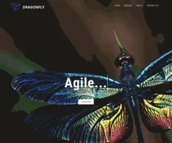 Dragonflyinnovations.net(Instructional Design and Development) Screenshot