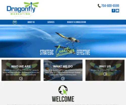 Dragonflymarketing.cc(Dragonflymarketing) Screenshot