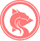 Dragonfruitvideo.com Favicon