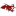 Dragons.tl Favicon