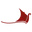 Drakenshop.com Favicon