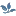 Drannwellness.com Favicon