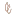 DRChristinecoleman.com Favicon