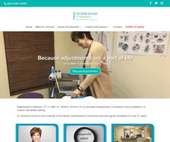 DRDSChmid.com(Colonial Chiropractic Centre) Screenshot