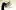 Dreadlockssite.com Favicon