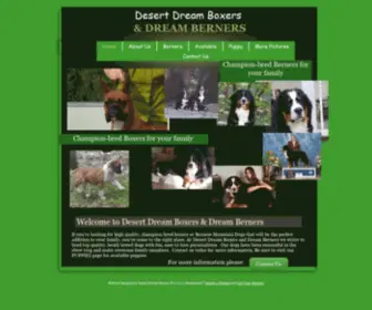 Dreamberners.com(Desert Dream Boxers) Screenshot