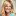 Dreamitbook.com Favicon