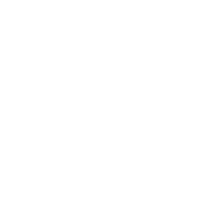 Dreamroute.com.br Favicon