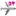 Dreamtravel.tv Favicon