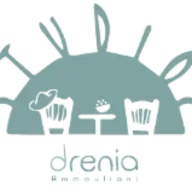 Dreniastudios.com Favicon