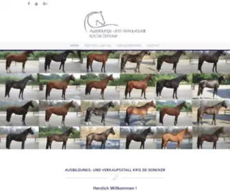 Dressagehorses-Dedoncker.com(Dressage Horses De Doncker) Screenshot