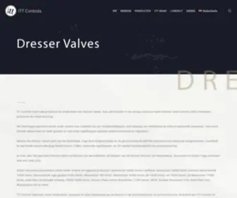Dresser-Valves.nl(Dresser Valves) Screenshot
