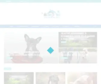 Drfoxvet.net(A place for you and your pet) Screenshot