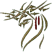 DRFRY.com Logo