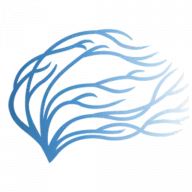 Drhandoo.com Favicon