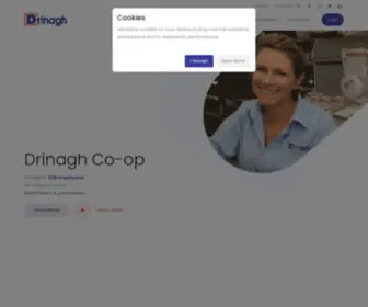 Drinagh.com(Home) Screenshot