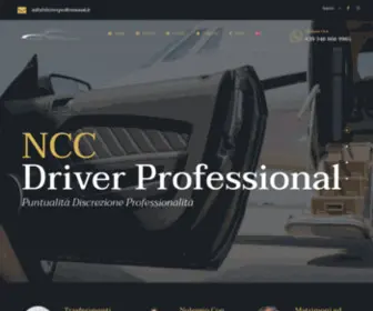 Driverprofessional.it(Driver Professional) Screenshot