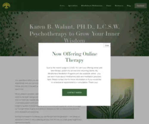 Drkarenwalant.com(Karen B) Screenshot