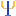 Drkimwagner.com Favicon