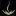 Drnoomie.com Favicon