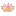 Drnorthrup.com Favicon