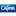 Drogueriascafam.com.co Logo