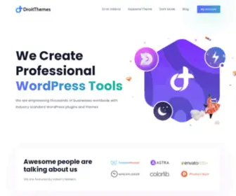 Droitthemes.net(DroitThemes) Screenshot