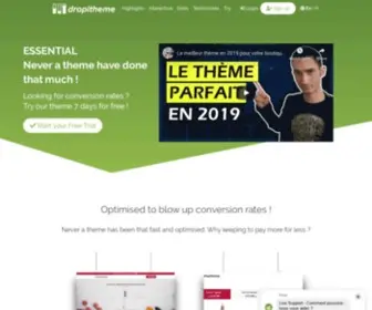 Dropitheme.com(Dropshipping) Screenshot