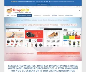 Dropshipbusinessesforsale.com(Drop Ship Businesses for sale) Screenshot