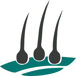 DrrajHairtransplant.com Favicon