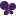 Drreborn.com.hk Favicon