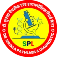 DRshuklapathlabs.com Favicon