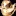 Drsuds.com Favicon