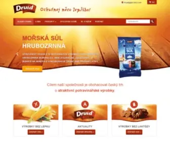 Druidcz.com(DRUID CZ s.r.o) Screenshot