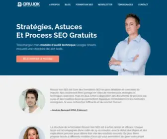 Drujokweb.fr(Formation SEO Et Stratégies De Référencement Naturel) Screenshot
