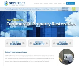 Dryeffect.com(Mold Remediation) Screenshot