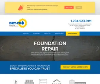 DRYprosystems.com(Crawl Space) Screenshot